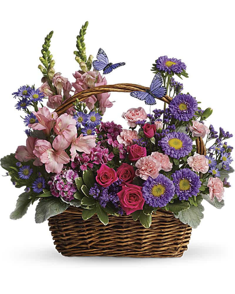 Placeholder Image