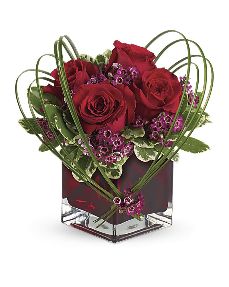 tev13-7a_thumbnail-1_1.jpg Placeholder Image